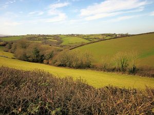 Green hills and fields